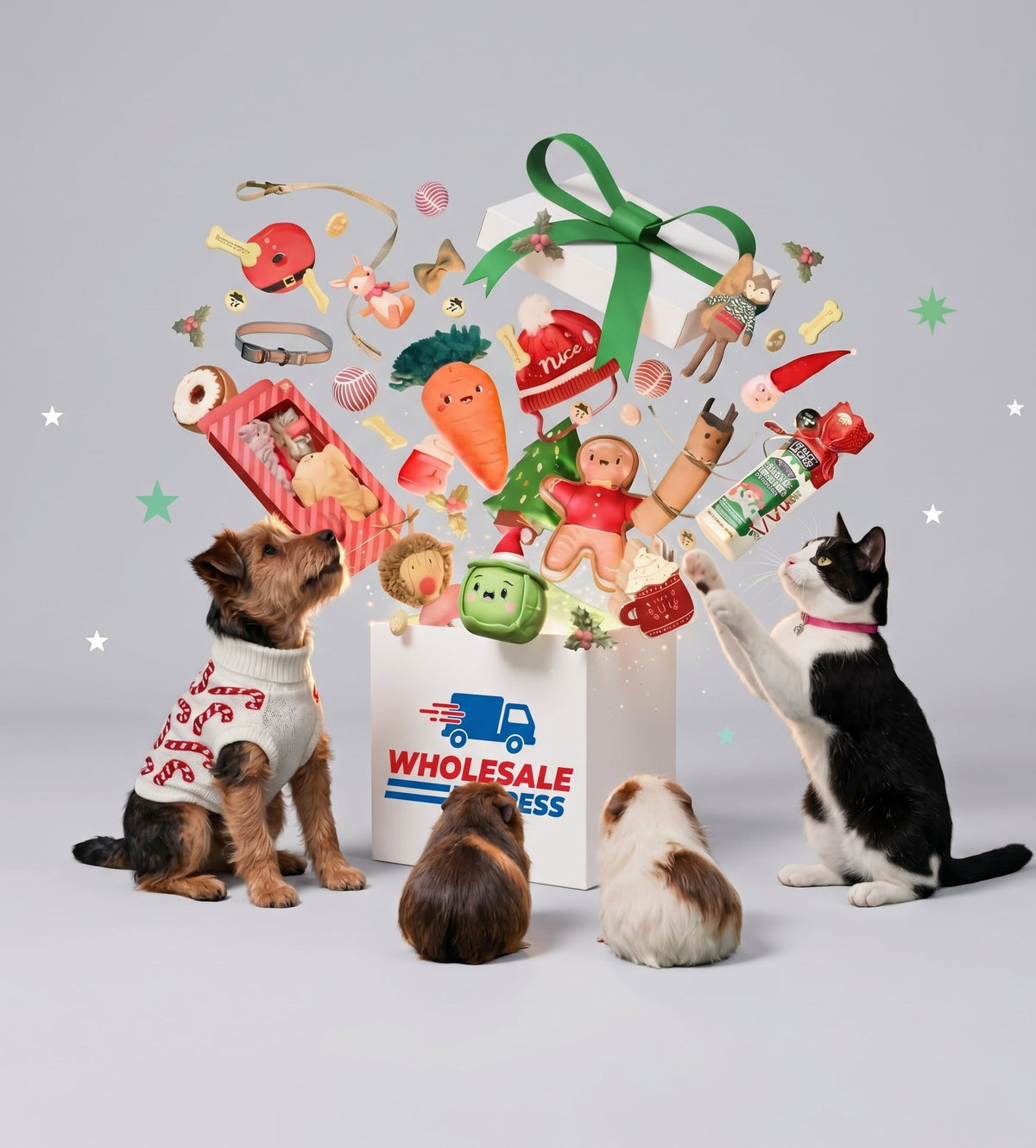 Pet Care